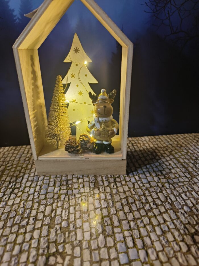 IMG20241215215615 Huisje Eland - Afbeelding 1