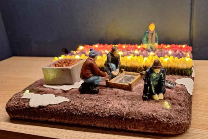 Flower Field Worders - Afbeelding 2