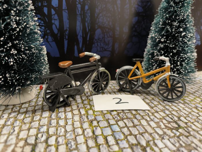 Intratuin Foto 2 Opoe fietsen - Afbeelding 2