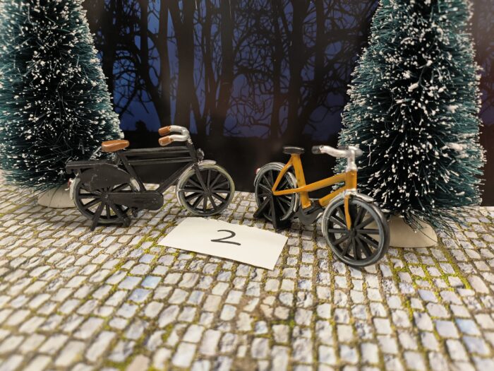 Intratuin Foto 2 Opoe fietsen - Afbeelding 3