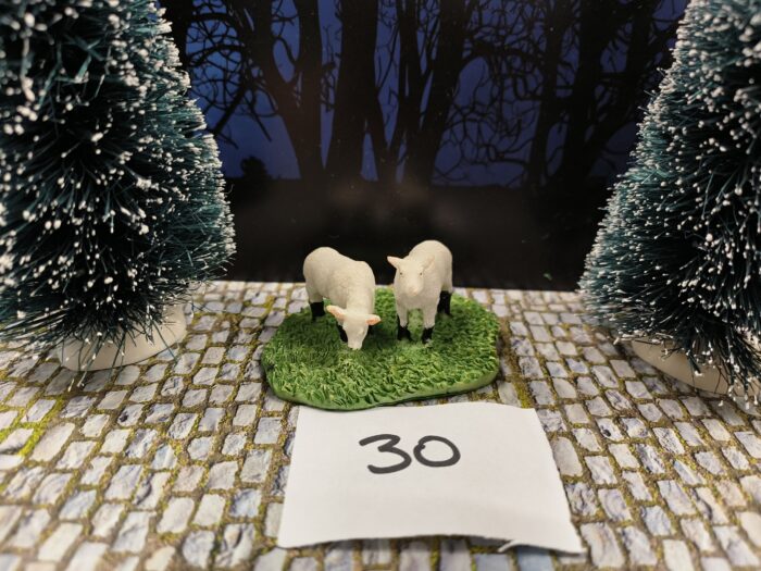 IMG20250430145157 Intratuin Foto 30 Lammetjes - Afbeelding 1