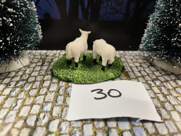 Intratuin Foto 30 Lammetjes - Afbeelding 3