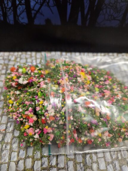 Gekleurde mosbedekker/klimplant