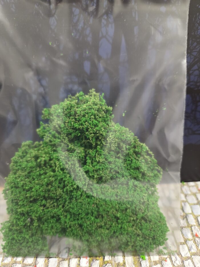 Groen mosbedekker/klimplant - Afbeelding 2