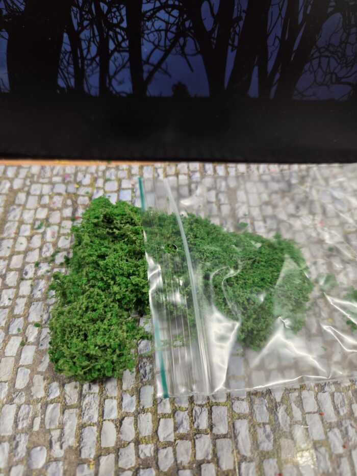 20250608_115219 Groen mosbedekker/klimplant - Afbeelding 1