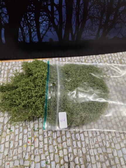 Groen 2 mosbedekker/klimplant