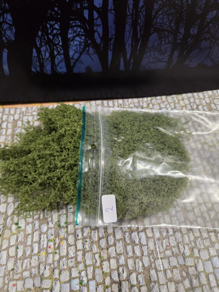 20250608_115313 Groen 2 mosbedekker/klimplant - Afbeelding 1