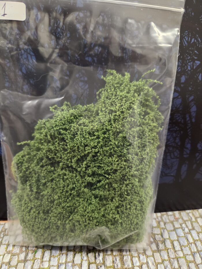 Groen 1 msobedekker/klimplant - Afbeelding 2