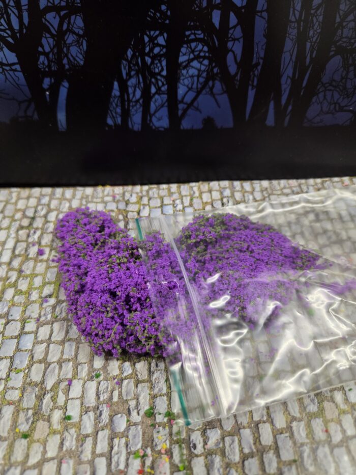 20250608_115548 Paars donker mosbedekker/klimplant - Afbeelding 1