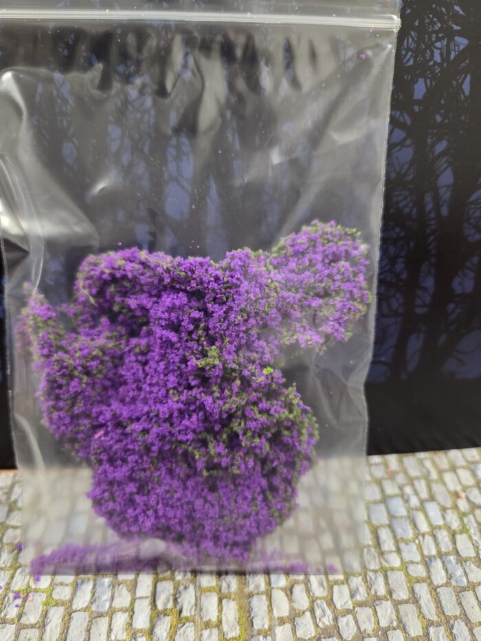 Paars donker mosbedekker/klimplant - Afbeelding 2