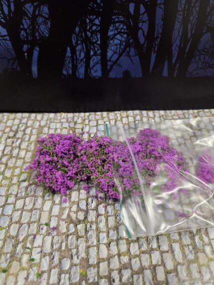 Paars licht mosbedekker/klimplant