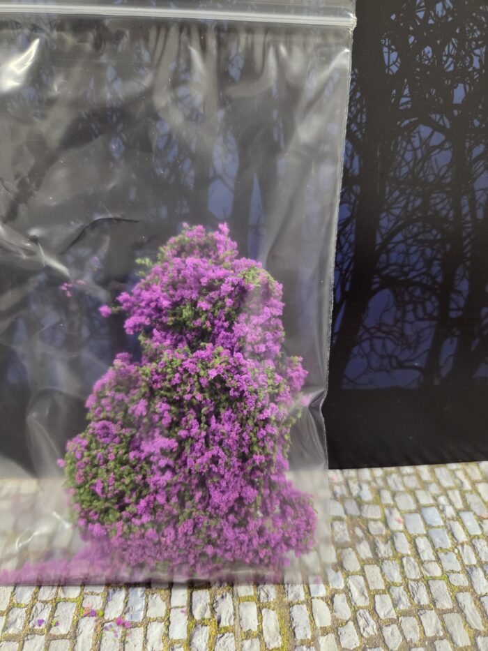 Paars licht mosbedekker/klimplant - Afbeelding 2