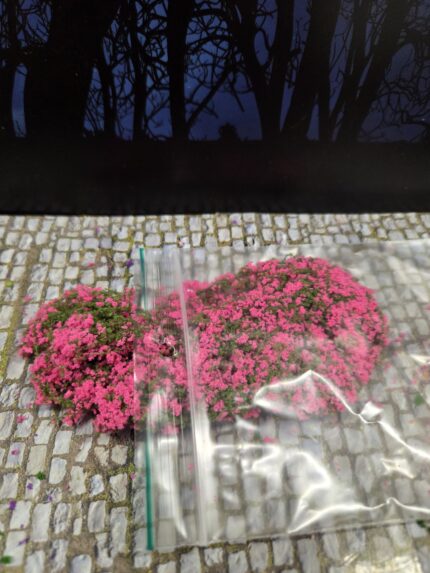 Hard Rose mosbedekker/klimplant