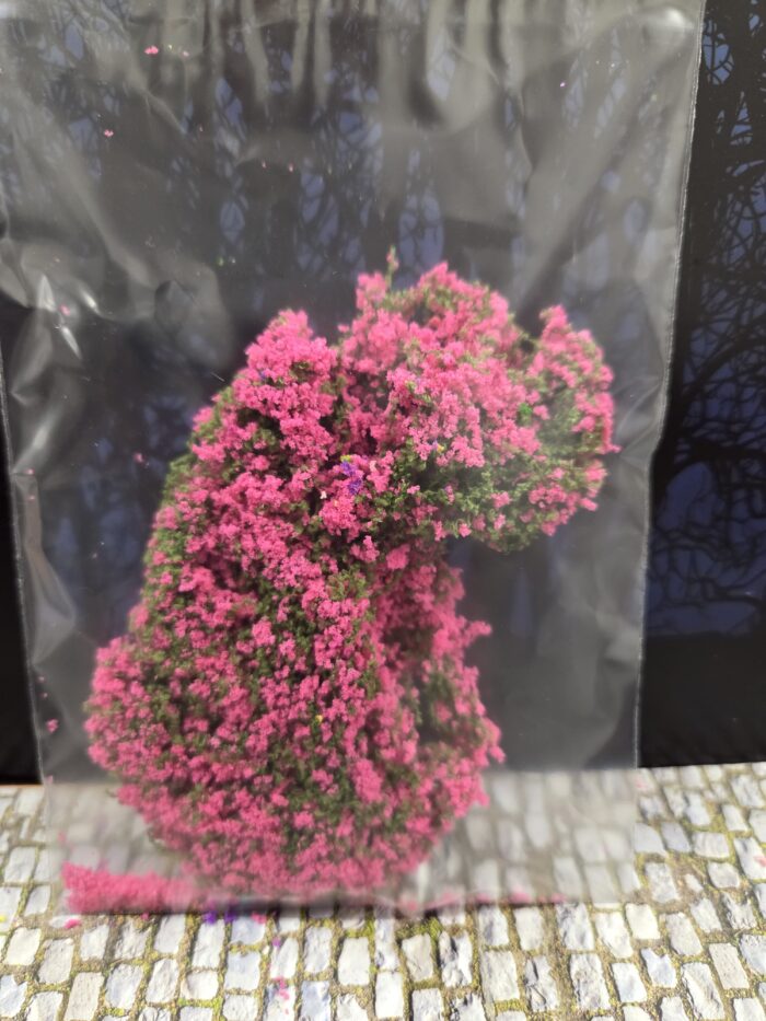 Hard Rose mosbedekker/klimplant - Afbeelding 2