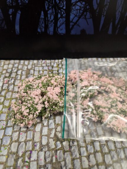 Rose mosbedekker/klimplant