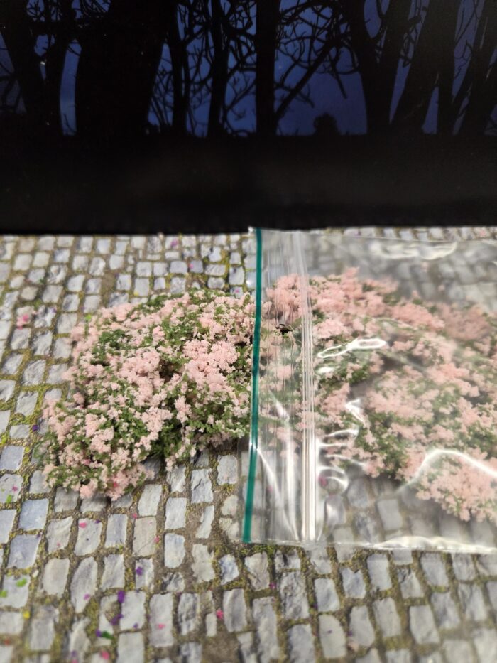 20250608_115802 Rose mosbedekker/klimplant - Afbeelding 1