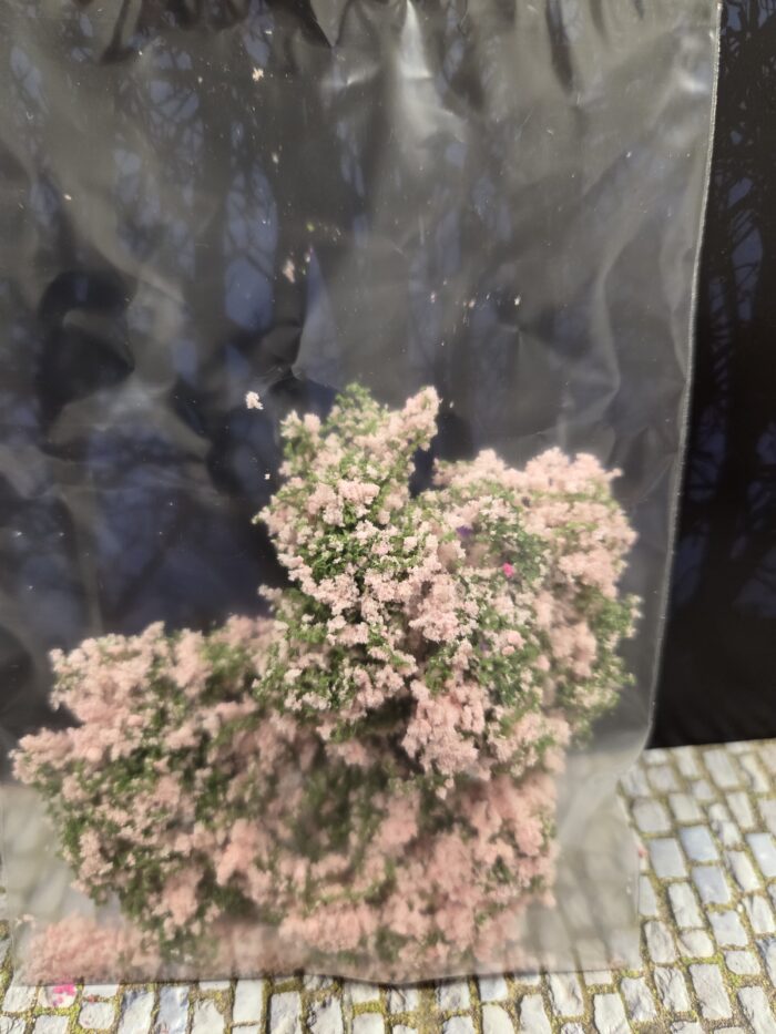 Rose mosbedekker/klimplant - Afbeelding 2