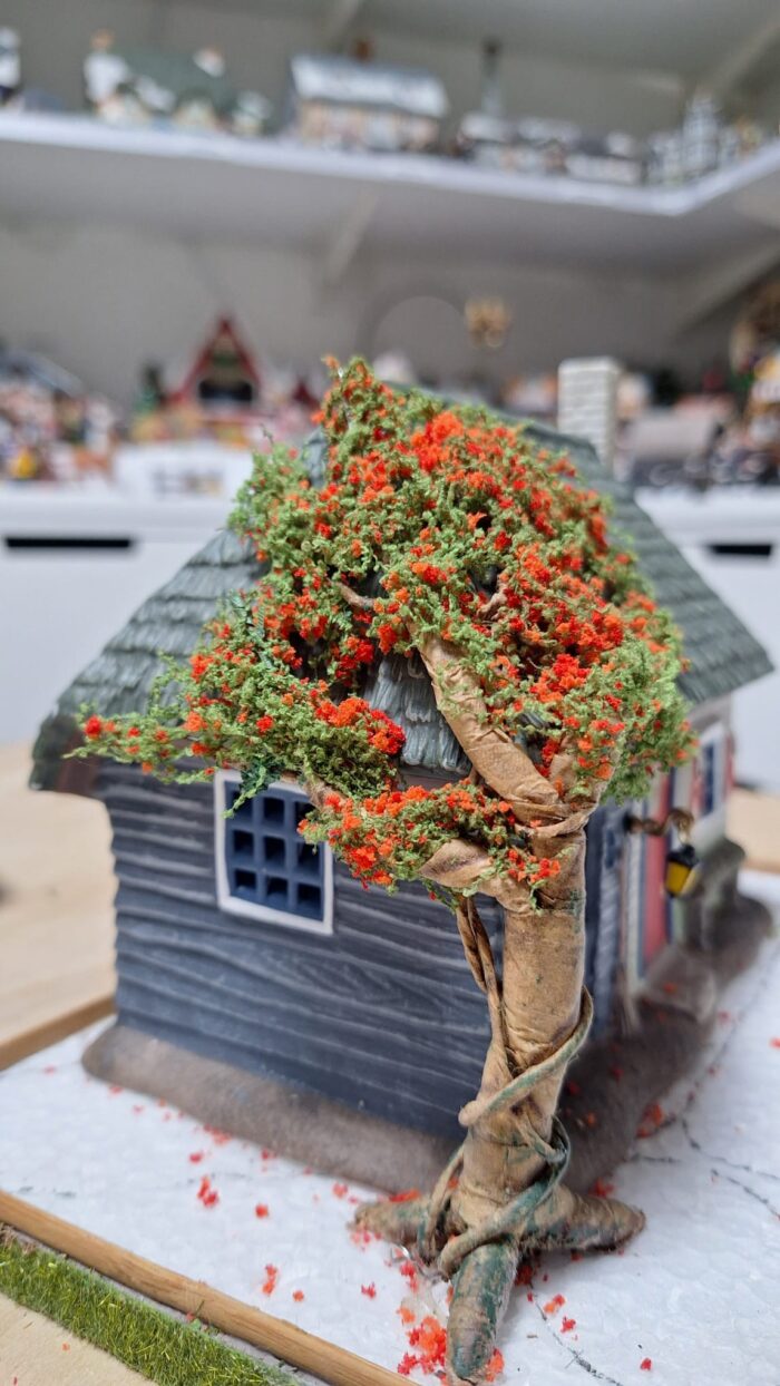 Groen 2 mosbedekker/klimplant - Afbeelding 4