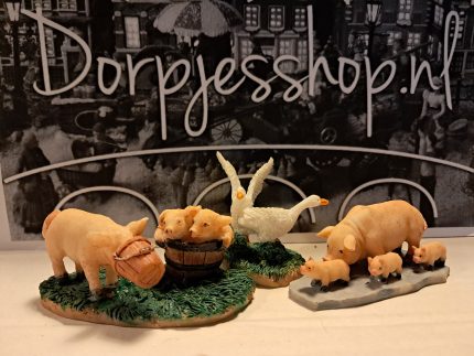 Pig family doings (3)