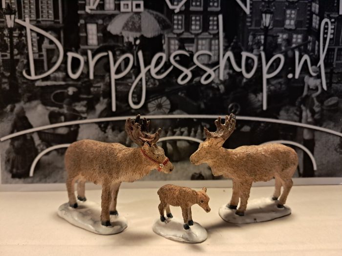 20251209_091159 Reindeer (3) - Afbeelding 1