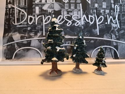 Christmas evergreen tree(3)