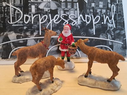 Santa feeds reindeer(4)