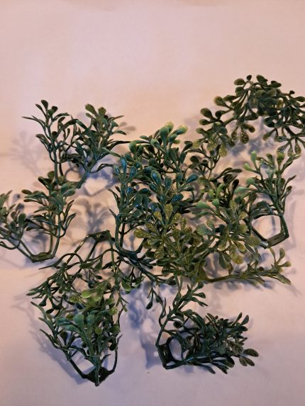 Struikjes met klein blad.(10)