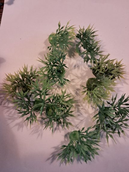 Puntblad  groen struikjes.(10)