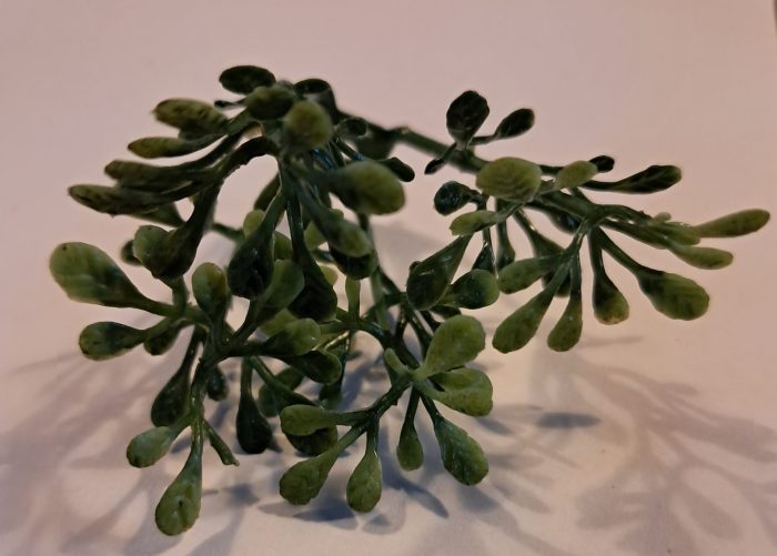 Struikjes met klein blad.(10) - Afbeelding 2