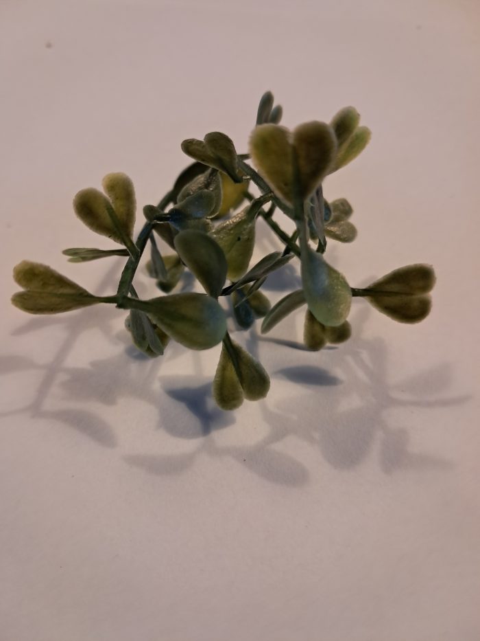 Plant met hartjes blad.(10) - Afbeelding 2