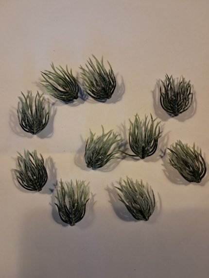 Sliert struikjes(10)