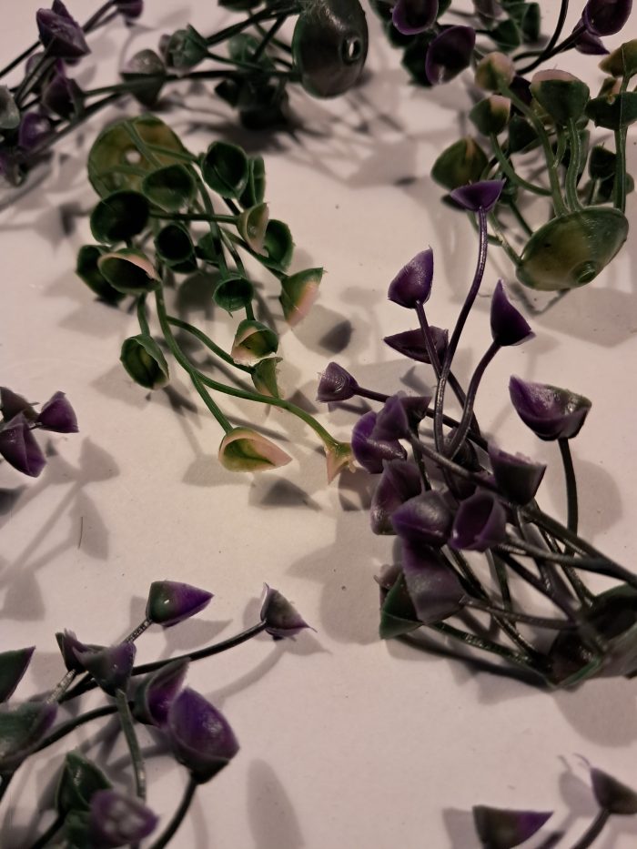 Trompet bloemen(10) - Afbeelding 2