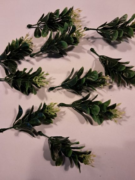 Plant met witte bloempjes(10)