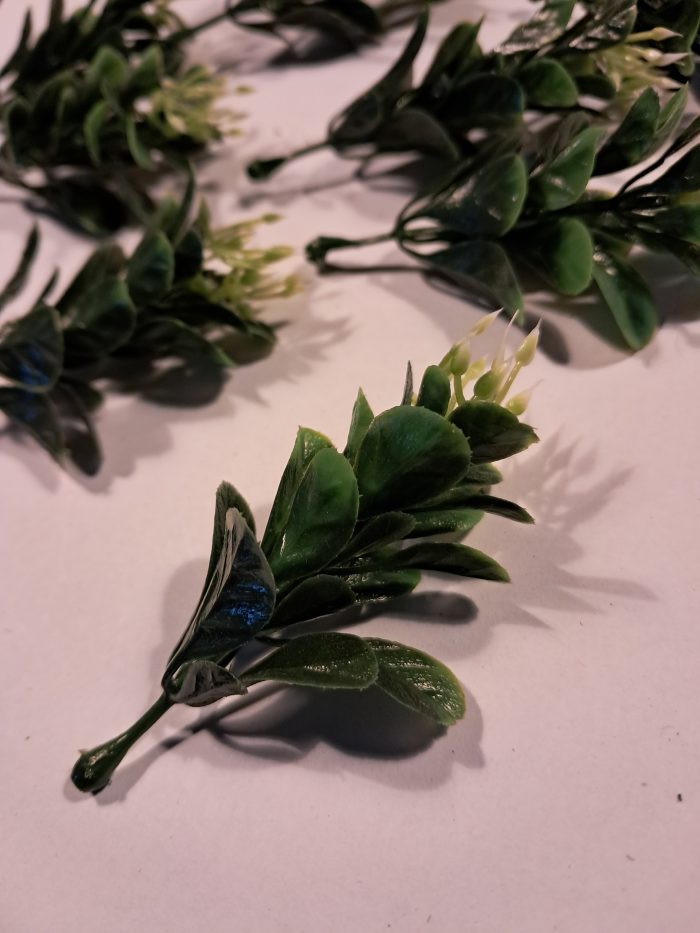 Plant met witte bloempjes(10) - Afbeelding 2