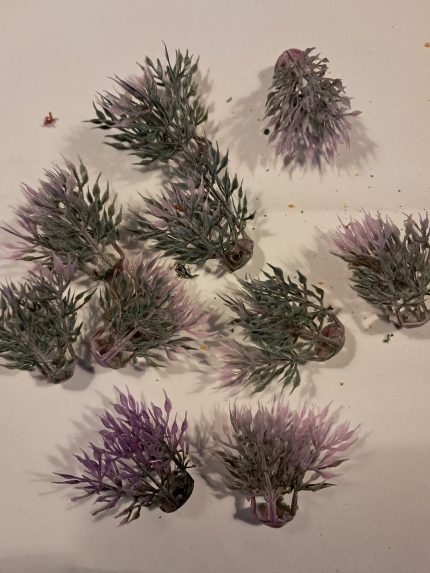 Struikjes met puntblad lila(10)