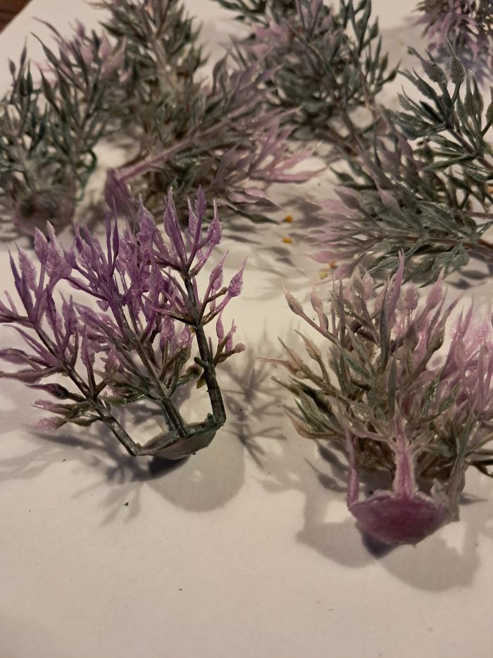 Struikjes met puntblad lila(10) - Afbeelding 2