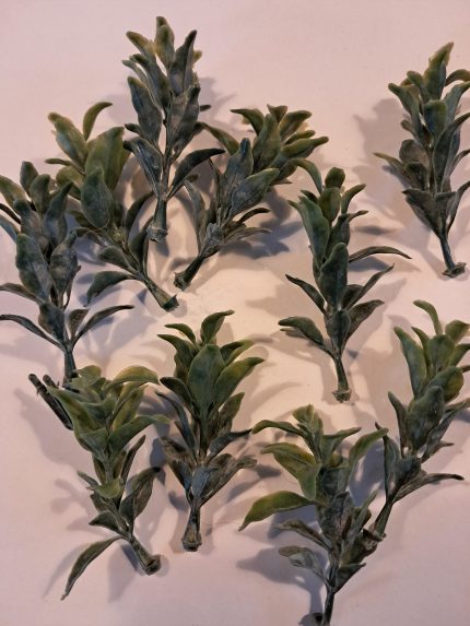 Groene dunne struikboompjes(10)