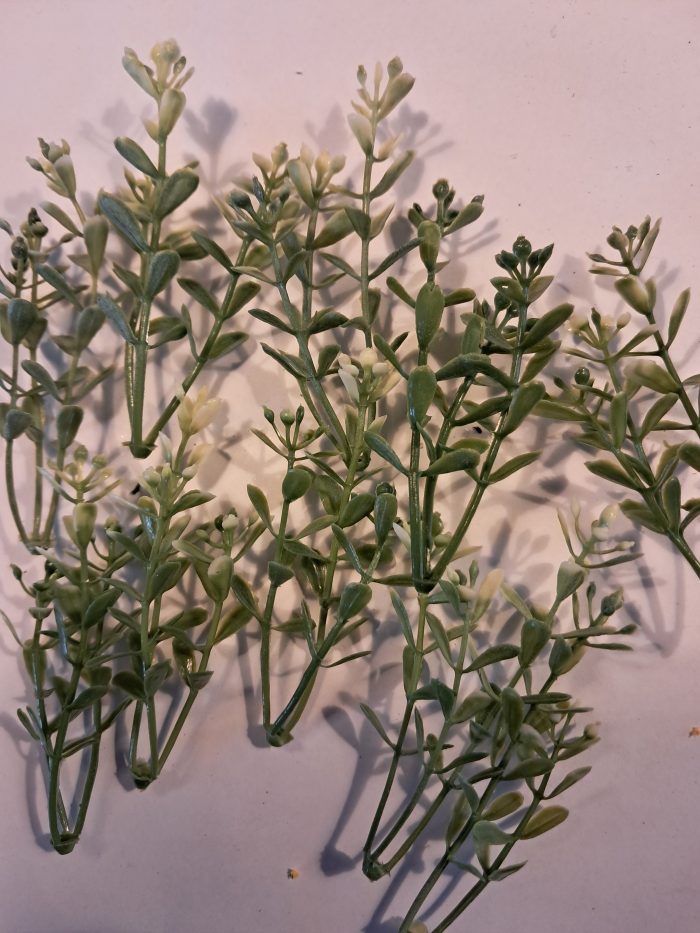 Struikjes hoog met witte bloempjes(10) - Afbeelding 1