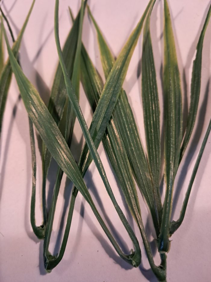 Lang groen blad(10) - Afbeelding 2