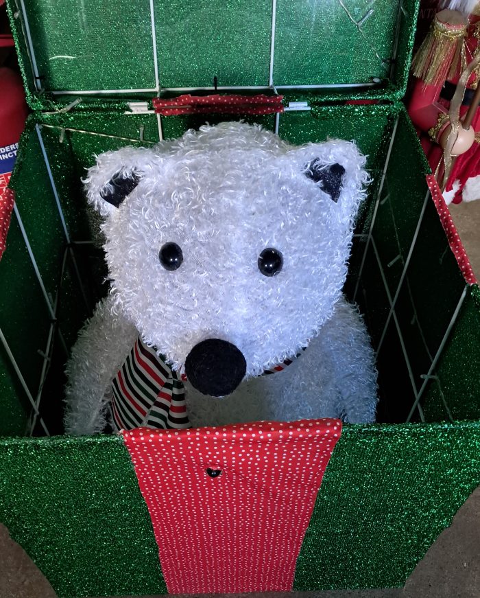 Beer uit een kado groot - Afbeelding 2