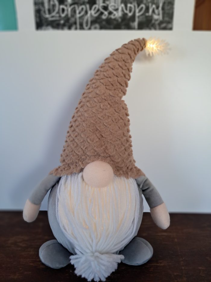 Gnome met licht - Afbeelding 1