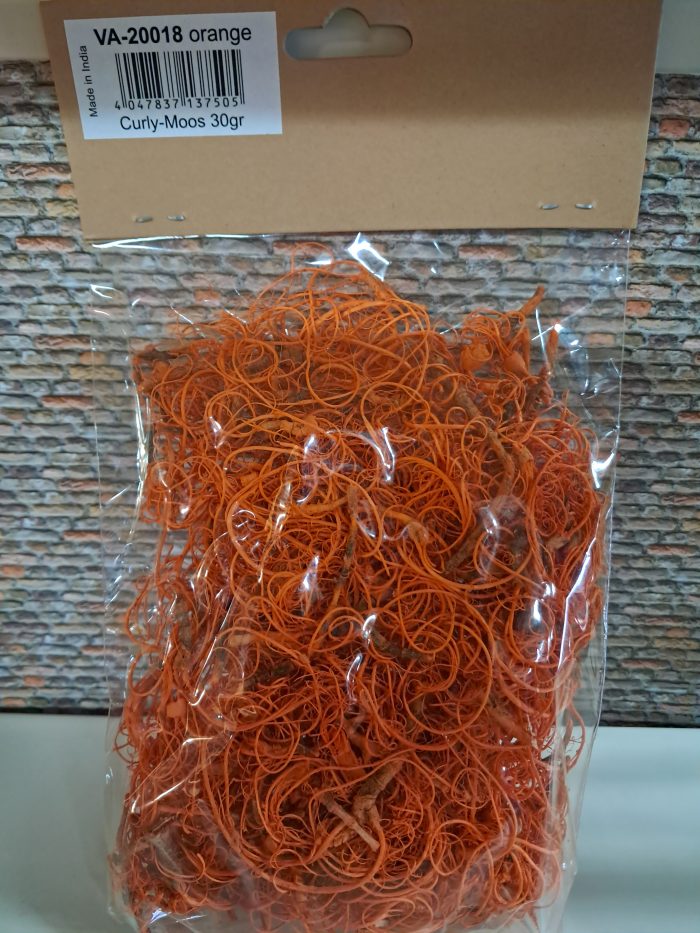 Curly moos orange - Afbeelding 2