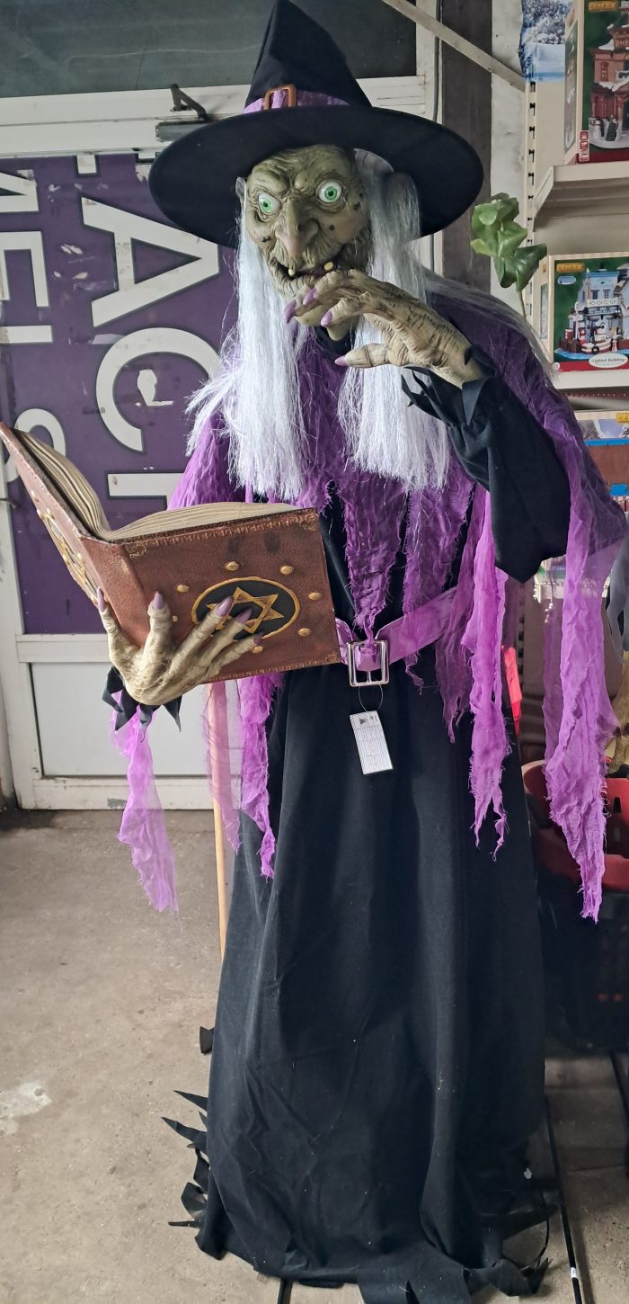 Groot staande heks - Afbeelding 1