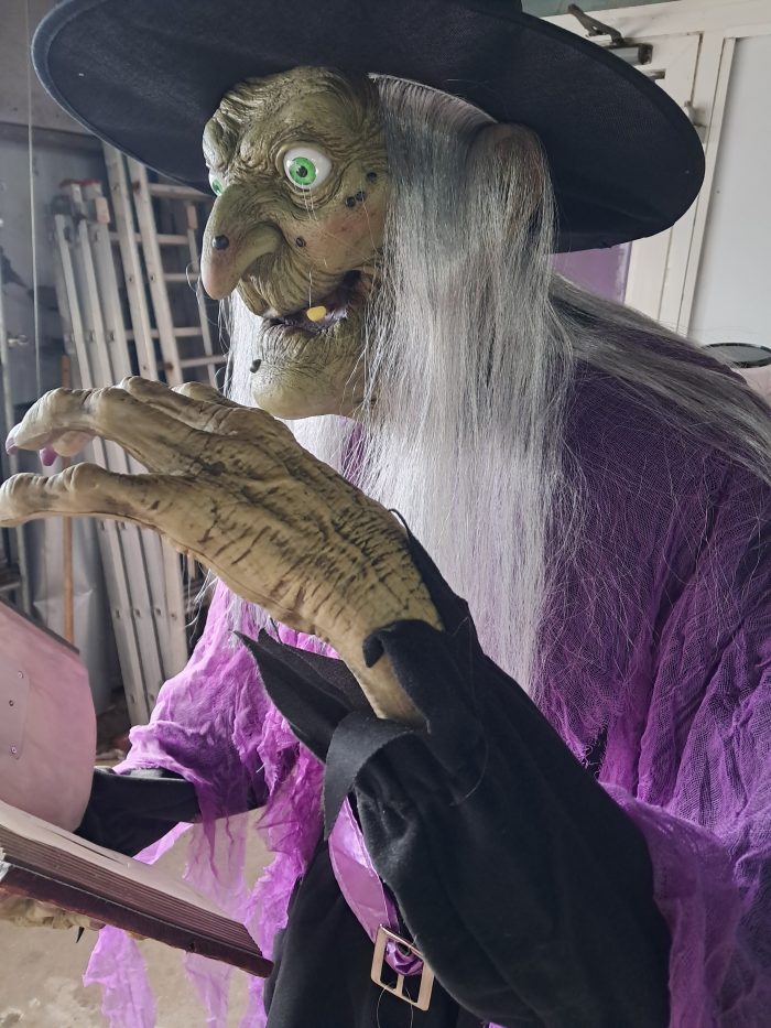 Groot staande heks - Afbeelding 2