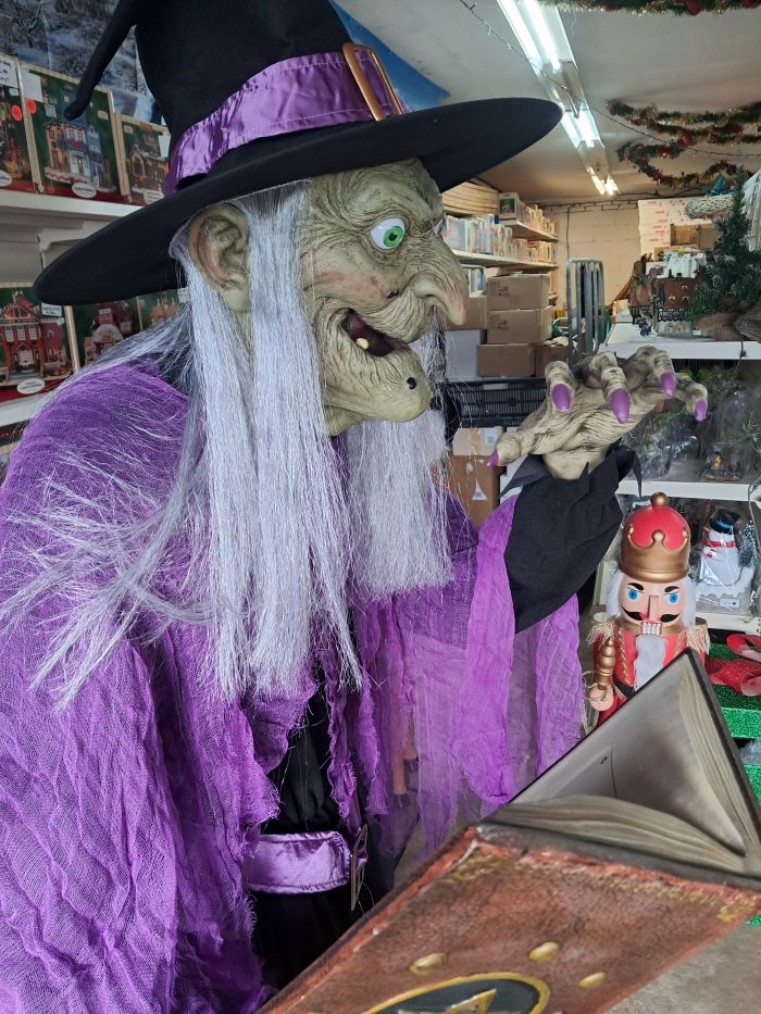 Groot staande heks - Afbeelding 3