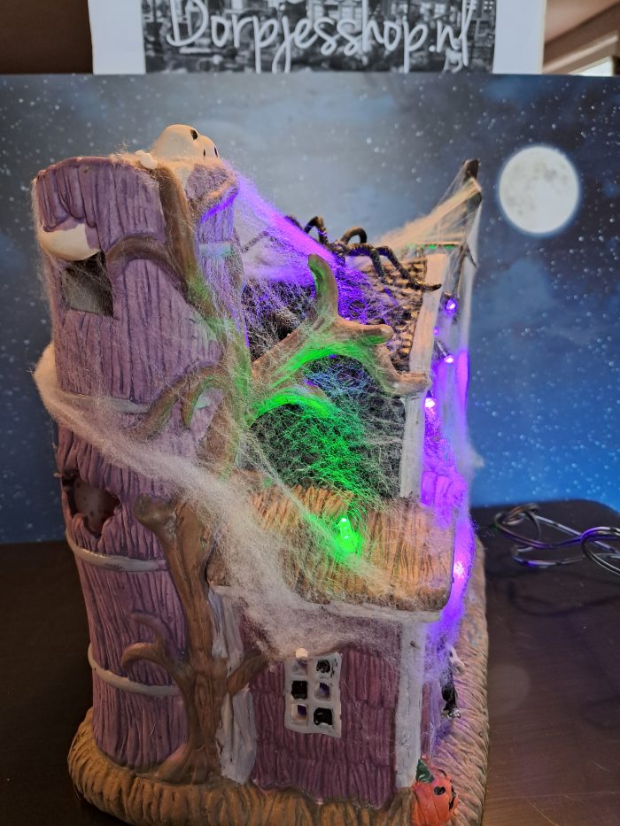 The webbed barn - Afbeelding 4