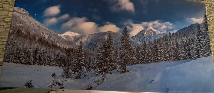 Achtergrond plaat bomen en bergen