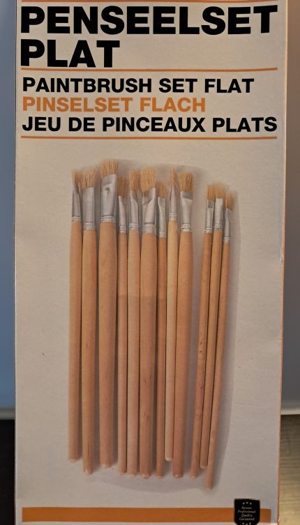 Penseel Set Plat,12dlg.