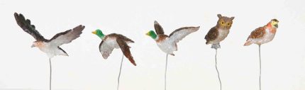 Assorted Birds,Set Of 5.