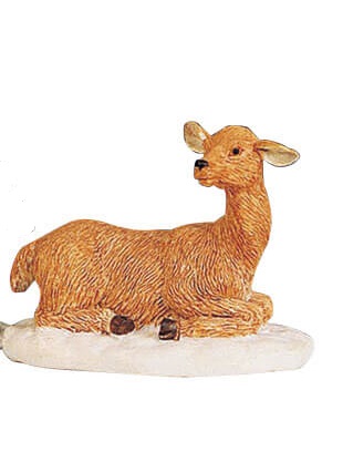 Stag And Doe,Alleen Liggend Hert!